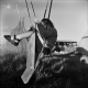 Black-and-white portrait photo of cute girl on broken swing with ropes in countryside rancho medium format film