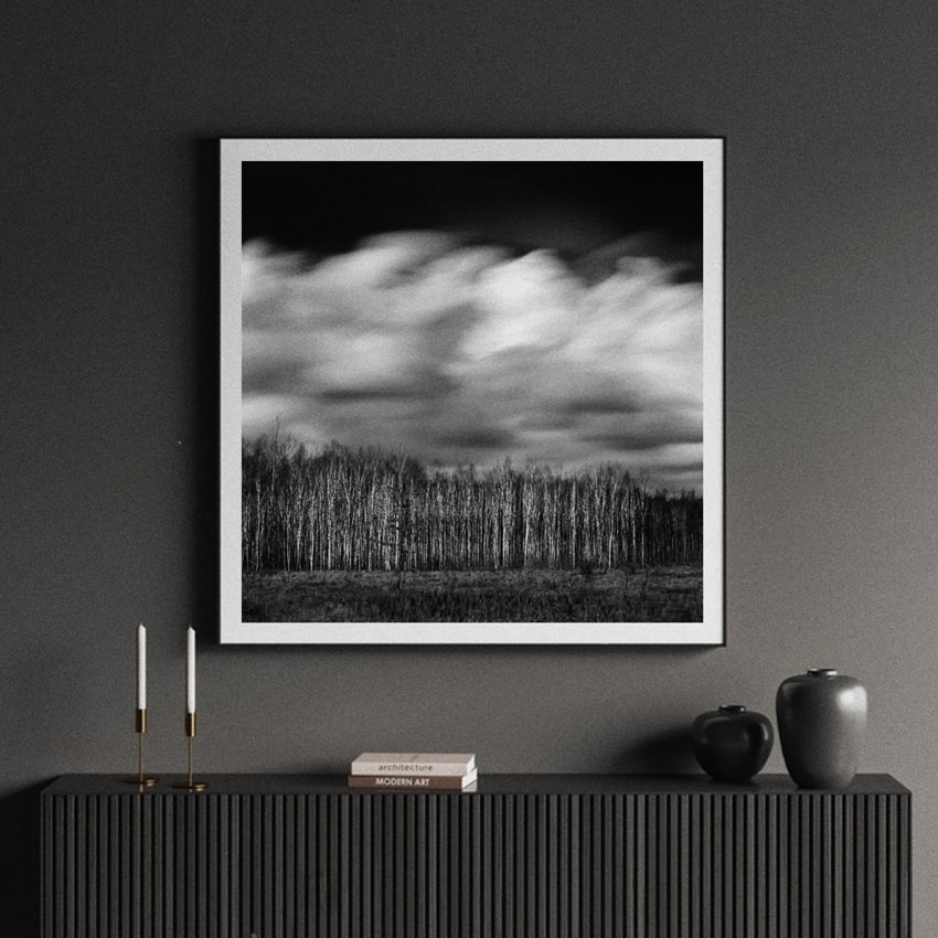 Black-and-white long exposure landscape photographic print 40x40 cm «Windy Forest» framed on the wall to decorate dark interior of living room or work office