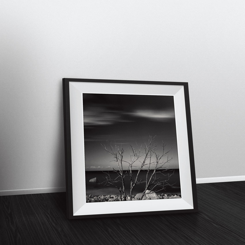 Framed archival black and white waterscape photographic print «Dead Tree» near the wall in room interior