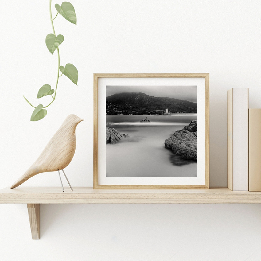 Black-and-white long exposure waterscape photo print 20x20 cm «Lonely Cormorant» framed on the bookshelf to decorate light interior of living room